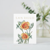  staatsbloem in San Diego: midden eeuw Briefkaart (Staand voorkant)