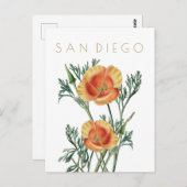  staatsbloem in San Diego: midden eeuw Briefkaart (Voorkant / Achterkant)