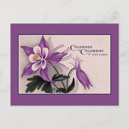  staatsbloem van Colorado, Columbine Briefkaart (Voorkant)