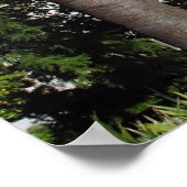 staatskapitolposter poster (Hoek)