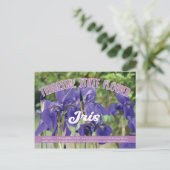 Staatslager van Tennessee de Iris Briefkaart (Staand voorkant)