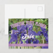 Staatslager van Tennessee de Iris Briefkaart (Voorkant / Achterkant)