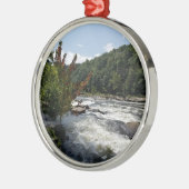 Staatspark Ohiopyle Metalen Ornament (Links)