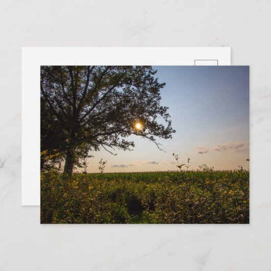 Staatspark van het kerkhof van Bigelow, Ohio Briefkaart (Voorkant / Achterkant)