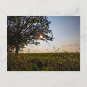 Staatspark van het kerkhof van Bigelow, Ohio Briefkaart (Voorkant)