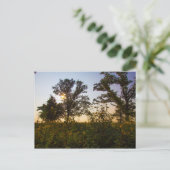 Staatspark van het kerkhof van Bigelow, Ohio Briefkaart (Staand voorkant)