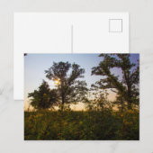 Staatspark van het kerkhof van Bigelow, Ohio Briefkaart (Voorkant / Achterkant)