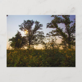Staatspark van het kerkhof van Bigelow, Ohio Briefkaart