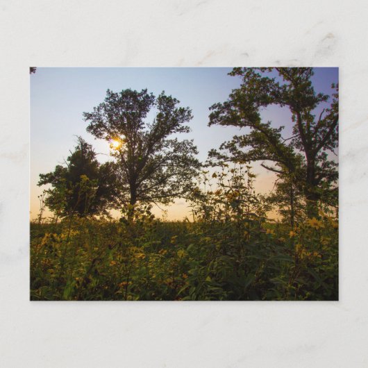 Staatspark van het kerkhof van Bigelow, Ohio Briefkaart (Voorkant)