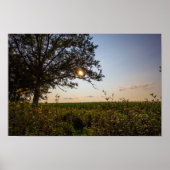 Staatspark van het kerkhof van Bigelow, Ohio Poster (Voorkant)