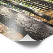 Staatsparken van Saratoga Foto Afdruk (Hoek)