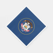 Staatsvlag van Utah Servet (Hoek)