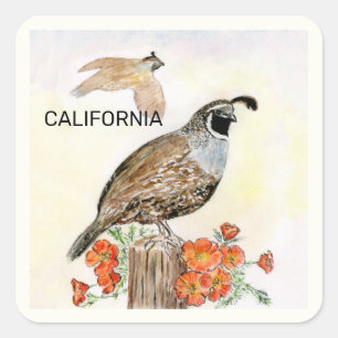 Staatsvogel en -bloem van Californië Vierkante Sticker