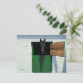 Stabelpaard met Franse deur Briefkaart (Staand voorkant)