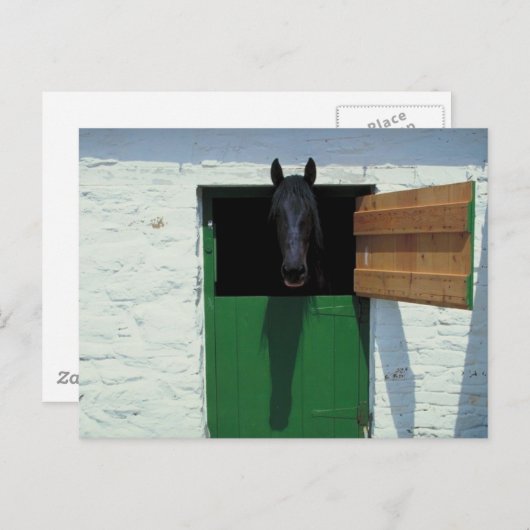Stabelpaard met Franse deur Briefkaart (Voorkant / Achterkant)