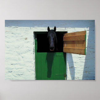Stabelpaard met Franse deur Poster