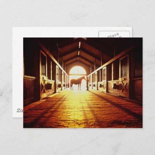 Stabiele handen briefkaart (Voorkant / Achterkant)