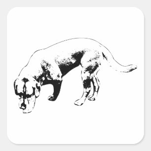 Stabiele neus naar de grond vierkante sticker