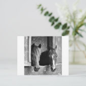 Stabiele paren briefkaart (Staand voorkant)