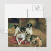 Stabiele vrienden briefkaart (Voorkant / Achterkant)