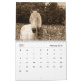 Stable Minded Western Horse Lover 12 maanden Kalender (Feb 2016)