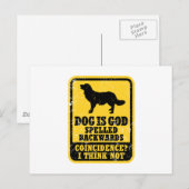 Stabyhoun Briefkaart (Voorkant / Achterkant)