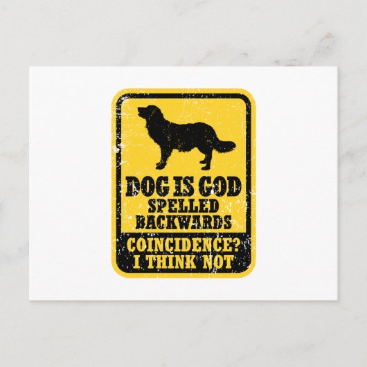 Stabyhoun Briefkaart (Voorkant)