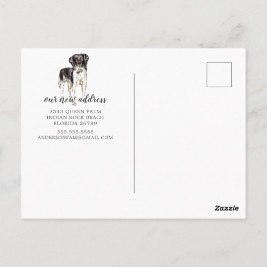 Stabyhoun Moving Announcement Briefkaart (Achterkant)