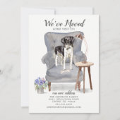 Stabyhoun | Verplaatsingsaankondiging Aankondiging (Voorkant)