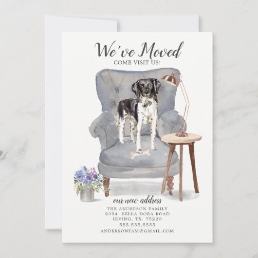 Stabyhoun | Verplaatsingsaankondiging Aankondiging (Voorkant)