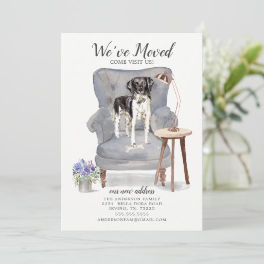 Stabyhoun | Verplaatsingsaankondiging Aankondiging (Staand voorkant)