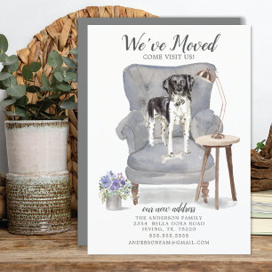 Stabyhoun   Verplaatsingsaankondiging Aankondiging