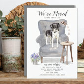 Stabyhoun | Verplaatsingsaankondiging Aankondiging