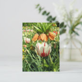 Stacey's Floral Design Briefkaart (Staand voorkant)