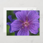 Stacey's Floral Design Briefkaart (Voorkant / Achterkant)