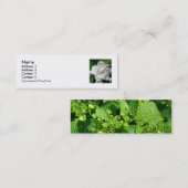 Stacey's Floral Design Mini Visitekaartje (Voorkant / Achterkant)