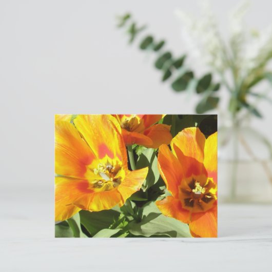 Stacey's Floral Design's Briefkaart (Staand voorkant)