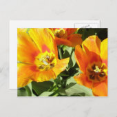 Stacey's Floral Design's Briefkaart (Voorkant / Achterkant)