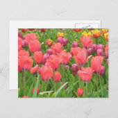 Stacey's Floral Design's Briefkaart (Voorkant / Achterkant)