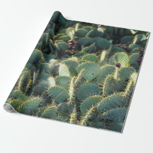 Stachelige Kakteen Cadeaupapier
