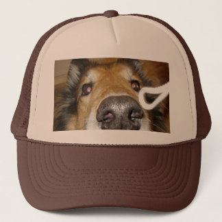 Stackers Trucker Pet