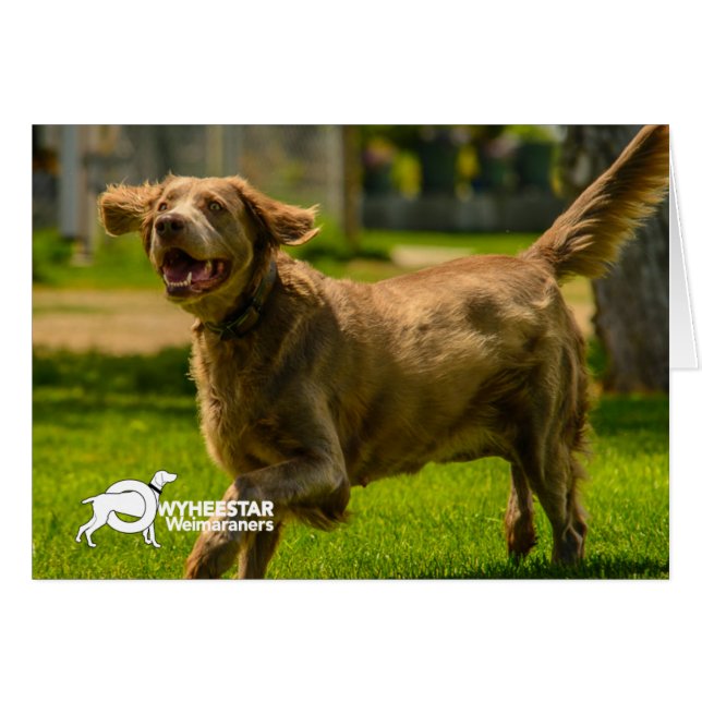 Stackhouse voor glimlachen (Voorkant Horizontaal)