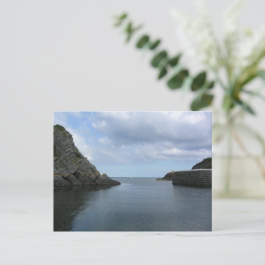 Stackpole Quay [briefkaart] Briefkaart (Staand voorkant)