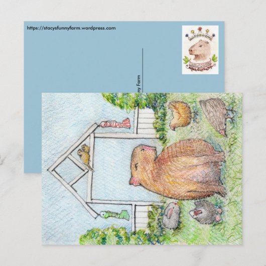 Stacy's Funny Boerderij Briefkaarten (Voorkant / Achterkant)