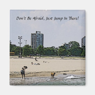 Stad Chicago & Michiganmeer Magneet