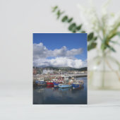 Stad en haven, Dingle, County Kerry, Briefkaart (Staand voorkant)