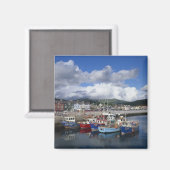 Stad en haven, Dingle, County Kerry, Magneet (Voorkant / Achterkant)