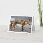 Stad Fox op weg Kaart (Voorkant)