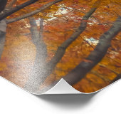 Stad in de herfst foto afdruk (Hoek)