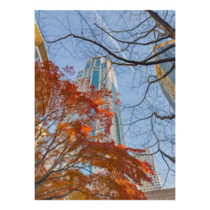 Stad in de herfst foto afdruk